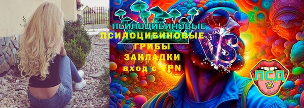 PSILOCYBIN Новодвинск