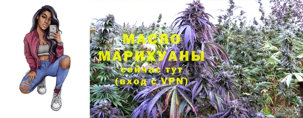 винт Няндома