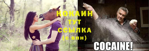 винт Няндома
